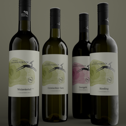 Tasting package “Wines from Bisamberg”