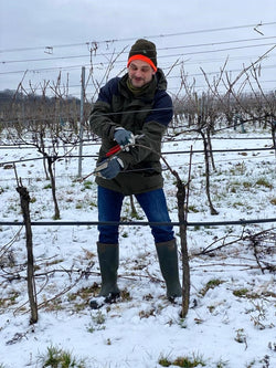 Event | Pruning the vines with the winemaker